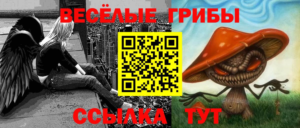 Елабуга  Галлюциногенные грибы мухоморы  купить  цена  Вход с VPN  Галлюциногенные грибы MAGIC MUSHROOMS 