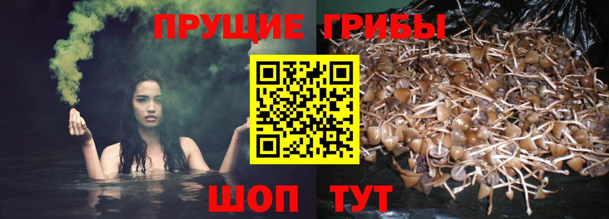 Галлюциногенные грибы мухоморы Елабуга
